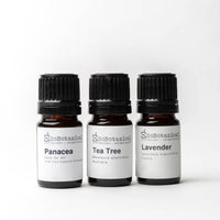 Travel Synergy Series