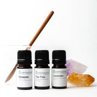 Travel Synergy Series