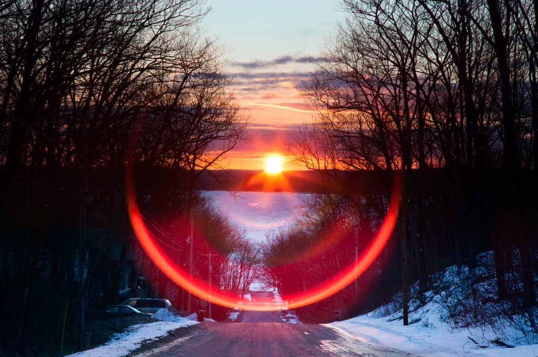 Embracing Renewal: The Energetic Essence of the Spring Equinox and SoBotanical Essential Oils