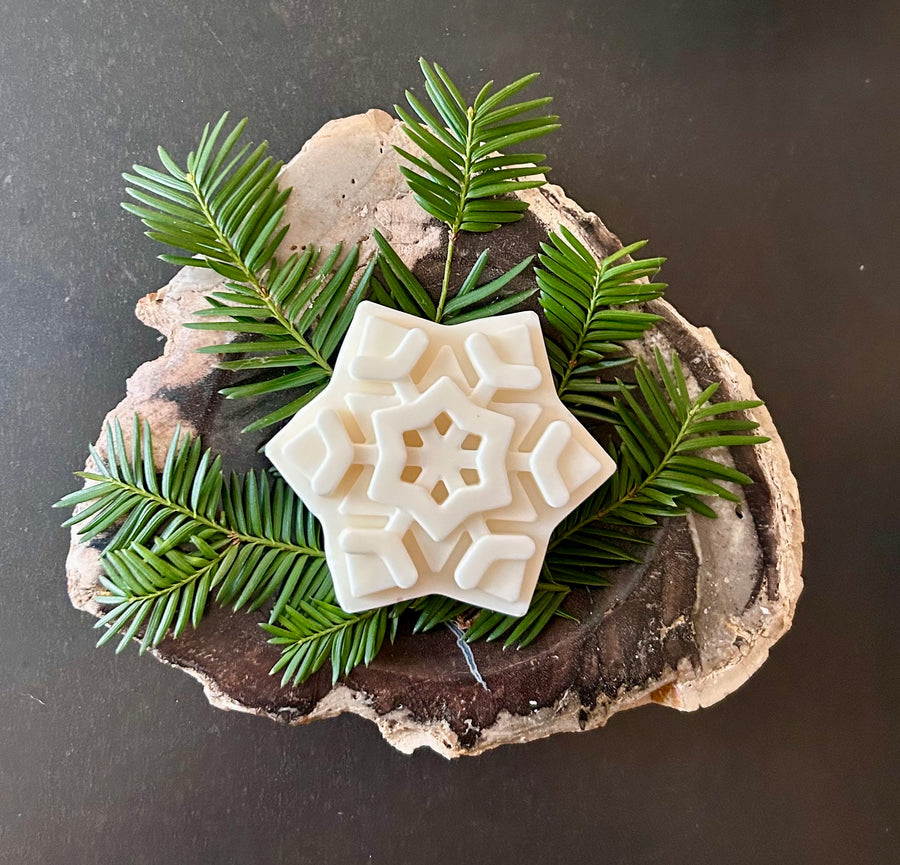 Winter Frost Snowflake Soap