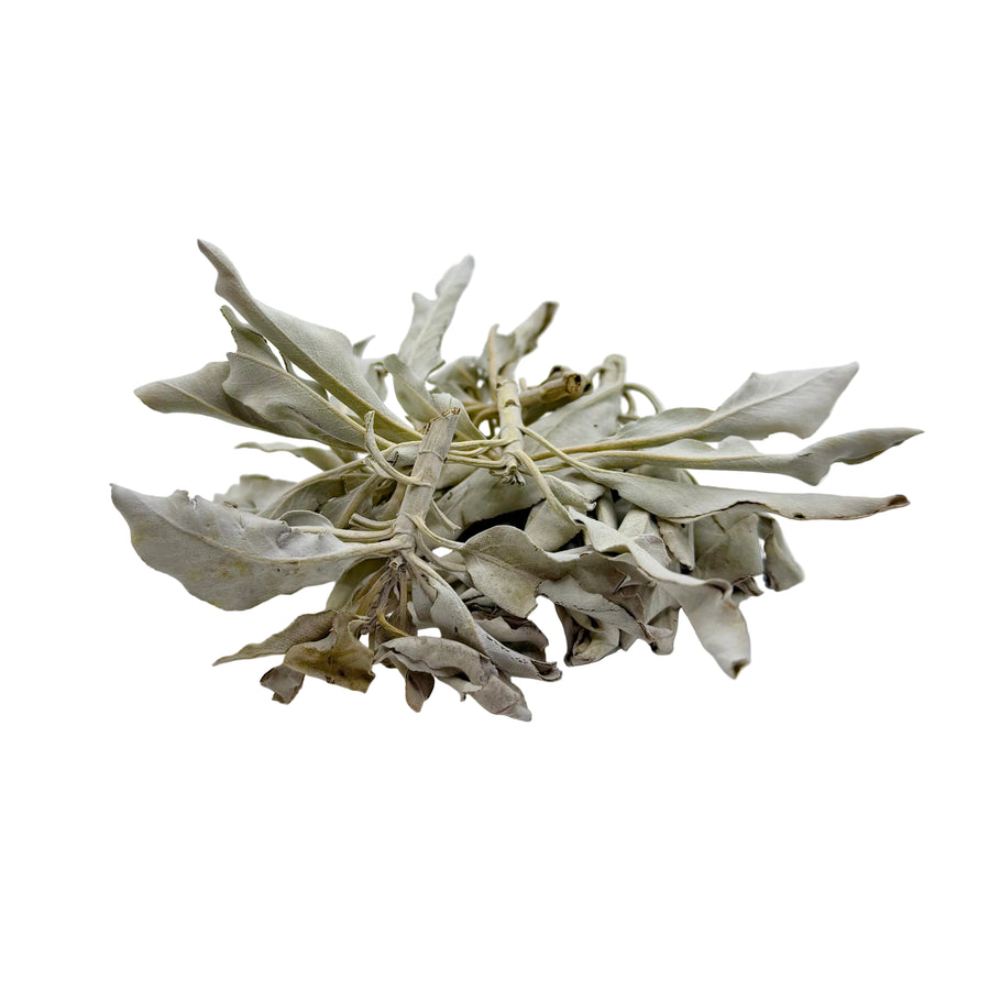 White Sage Loose