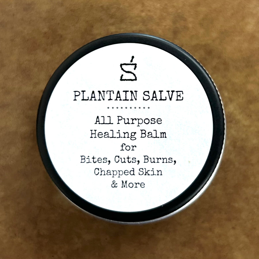 SoBotanical Plantain Salve jar