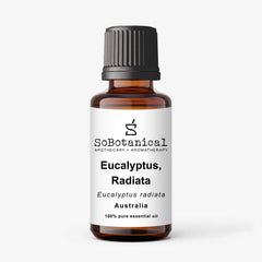 Eucalyptus Radiata