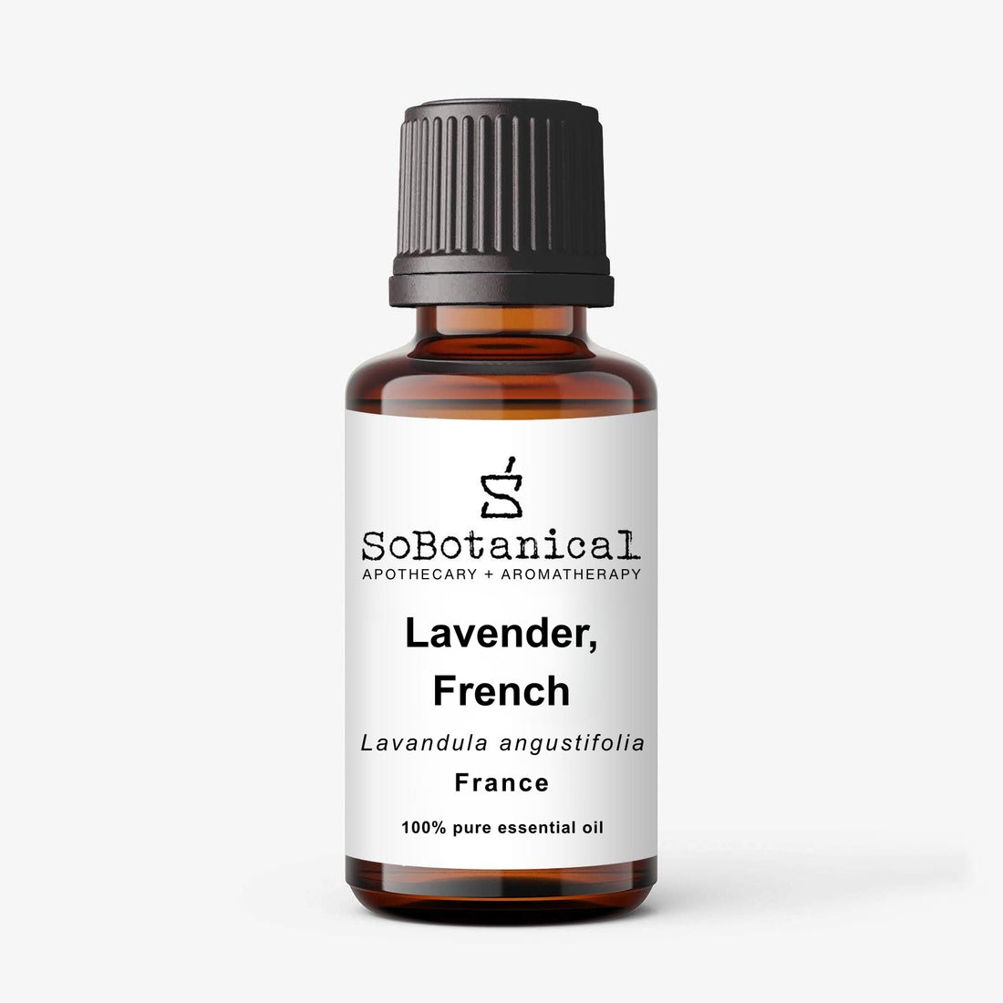 Lavender, French