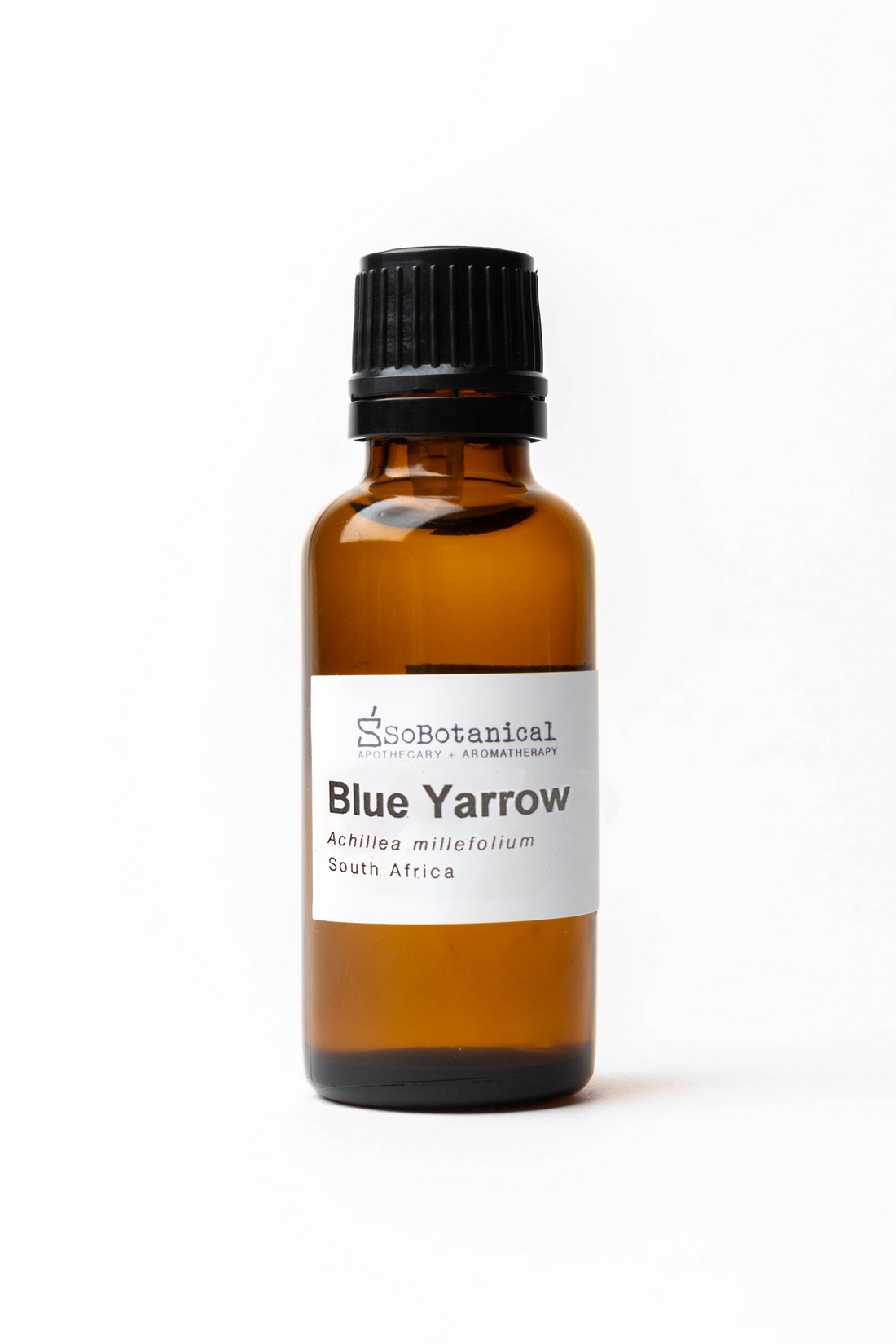 Yarrow Blue