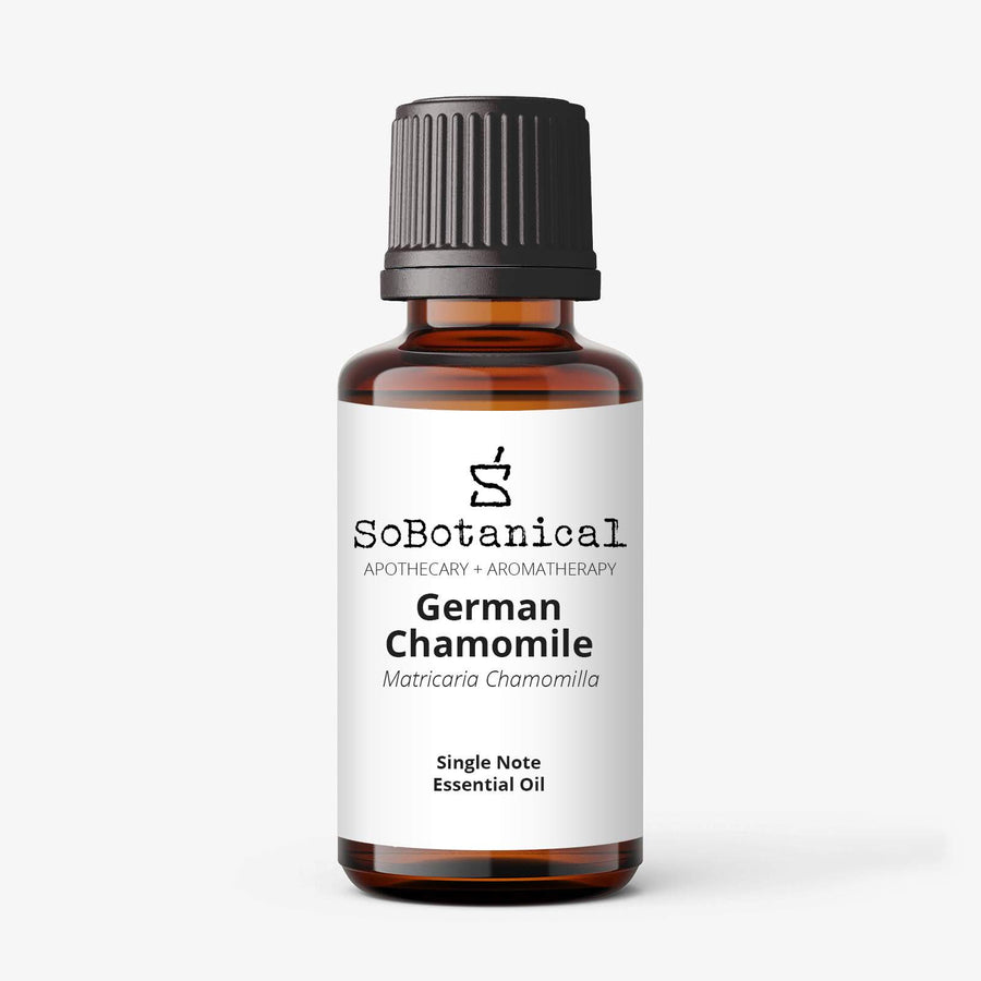 Chamomile German