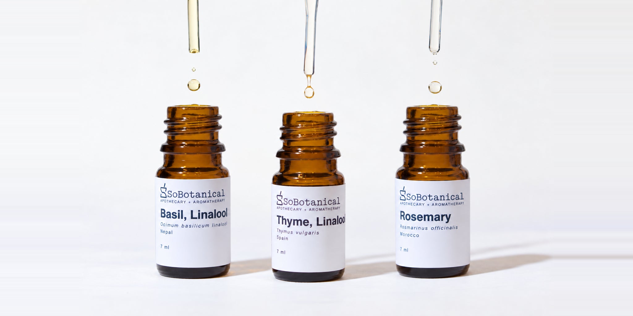 Basil, thyme and rosemary essential oil bottles beneath glass pipettes